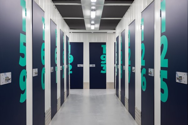 Masquetrasteros - Puerto De La Cruz